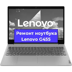 Чистка от пыли и замена термопасты на ноутбуке Lenovo G455 в Тюмени